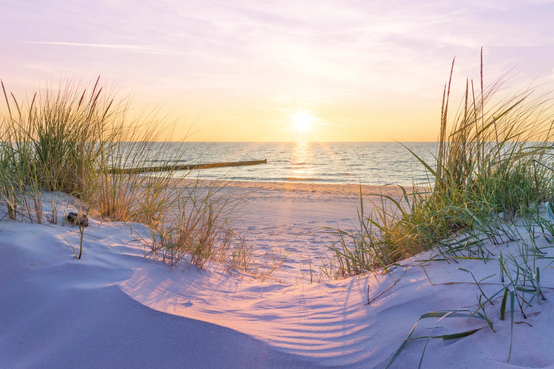 AdobeStock_187234239