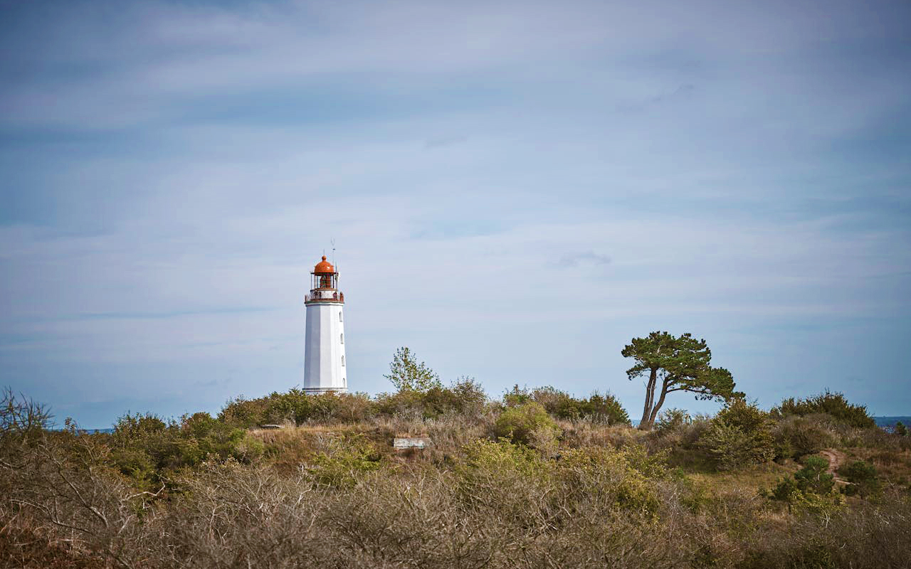 Strandliebe_Goehren_Hiddensee